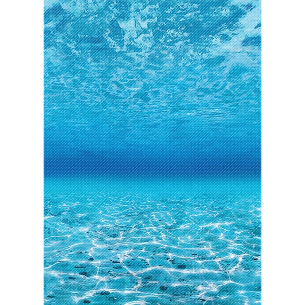 Teacher Created Resources Better Than Paper Bulletin Board Roll, 4x12ft, Under The Sea, PK4 TCR32361 - main